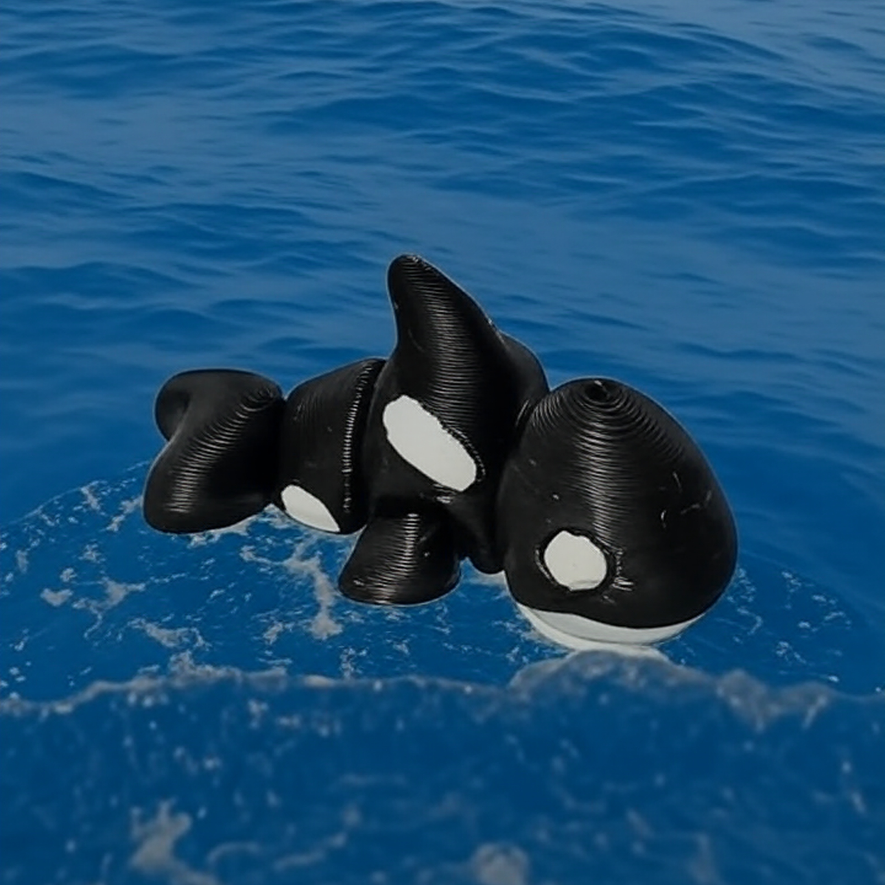 Baby Orca